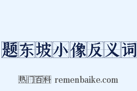 题东坡小像反义词是什么意思的图片